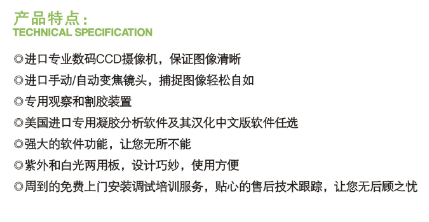 凝膠電泳儀