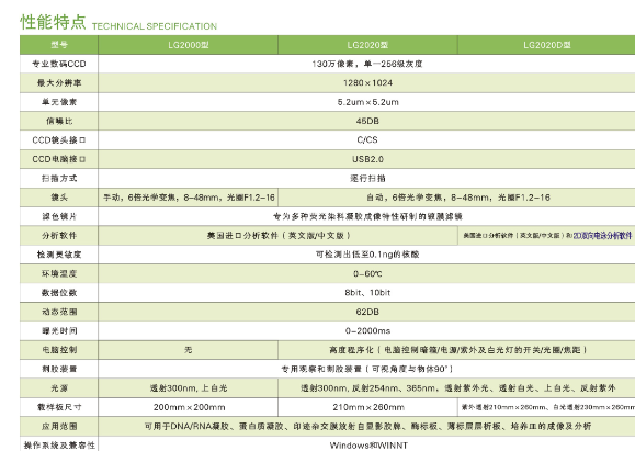 凝膠電泳儀